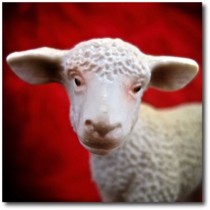 Lamb
2013